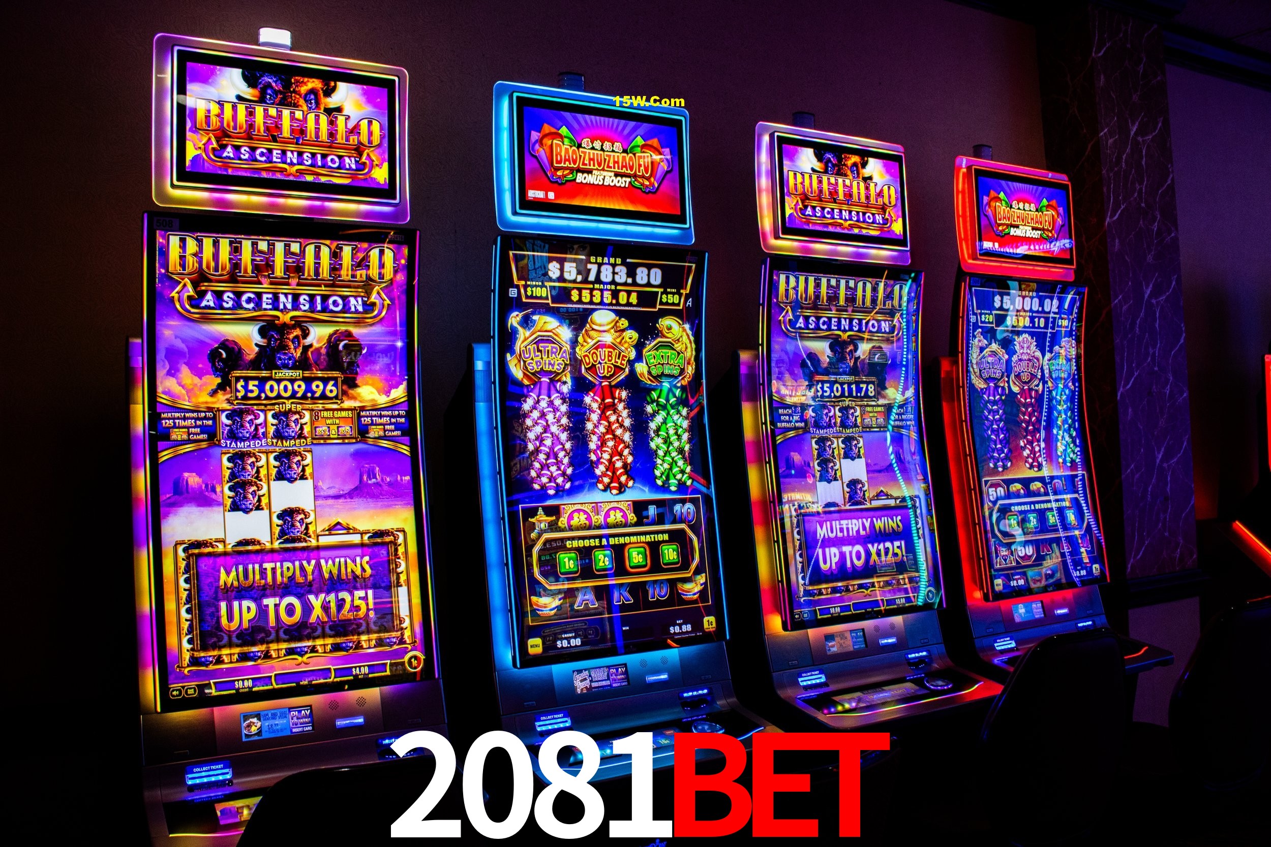 Statistics 2081Bet